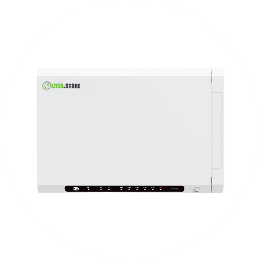 LS48100HM 48V 100Ah Lithium Battery LiFePO4 Multi-Installation Home