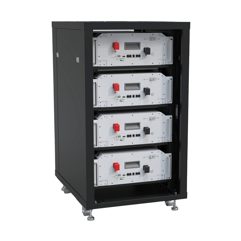 LS48100HM 48V 100Ah Lithium Battery LiFePO4 Multi-Installation Home