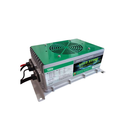 LS4855TW 48V 55A 57.6V 3000W Type 2 Lithium Battery Charger Waterproof IP67 LiFePo4 batteries